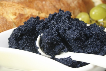 Black Caviar Supreme :: Black Caviar Supreme :: Black Whitefish Caviar :: Buy Whitefish Caviar Online (1 oz)