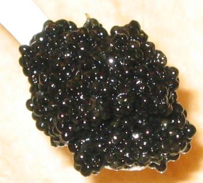 classic osetra caviar buy black sturgeon caviar