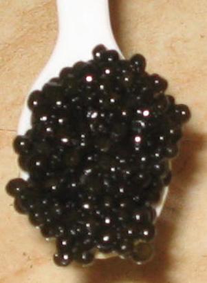 Fresh Farmed Royal White Sturgeon Caviar